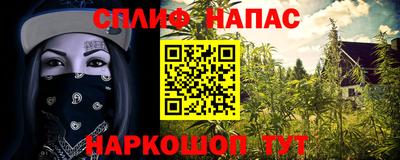 молекула духа Обнинск