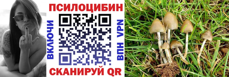 Галлюциногенные грибы GOLDEN TEACHER  Чебоксары 