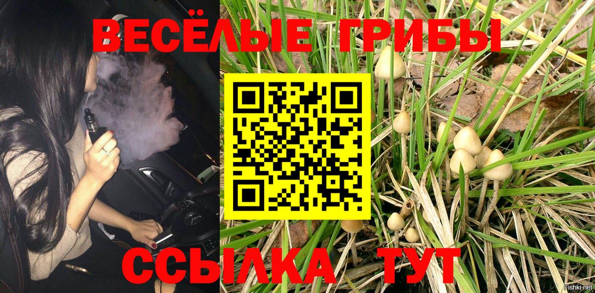 Галлюциногенные грибы Magic Shrooms  Вход с VPN  дарнет шоп  Псилоцибиновые грибы мицелий  Чебоксары 