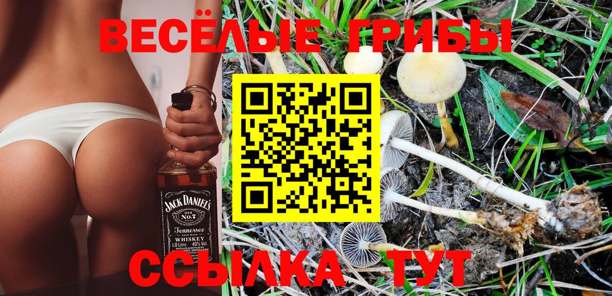 Галлюциногенные грибы прущие грибы Чебоксары